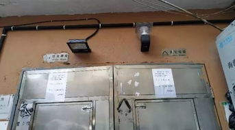 歐陽路街道新增132套“微改造”照明設施，點亮便捷生活新圖景