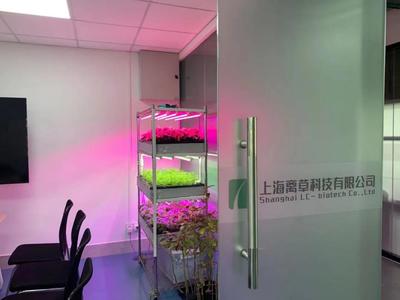 新聞中心的照明設備 科技與藝術的交融，打造專業傳播空間